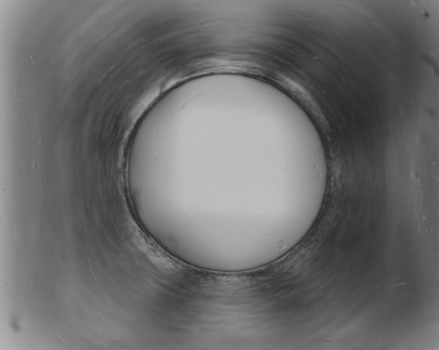 X0000103971427200809191348