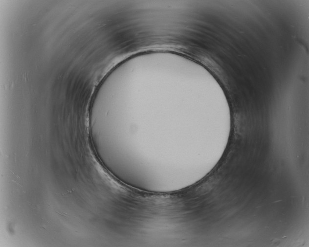 X0000103971428200809191348
