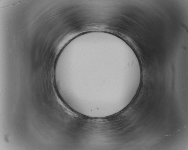 X0000103971432200809191348