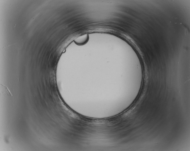 X0000103971433200809191348