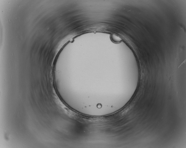 X0000103971434200809191348