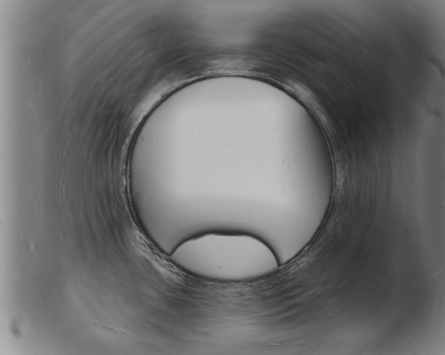 X0000103971435200809191348