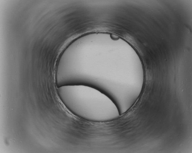 X0000103971436200809191348