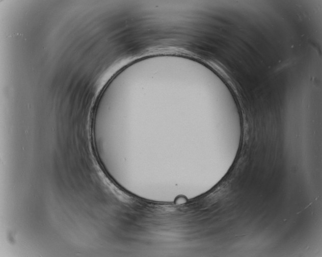 X0000103971438200809191348