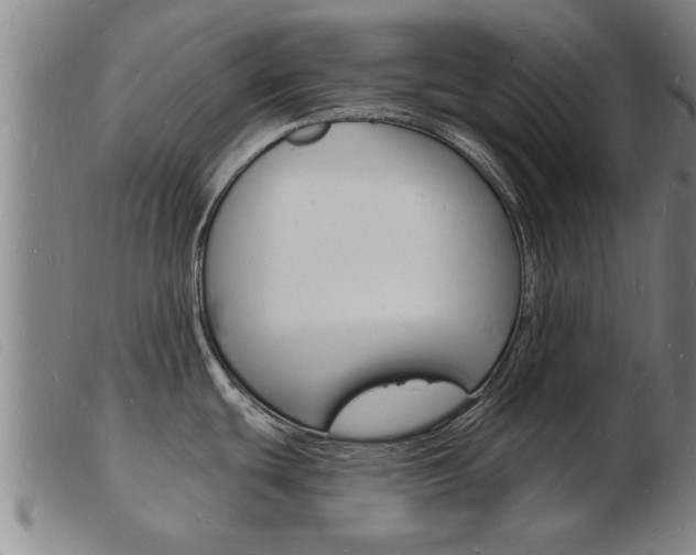 X0000103971439200809191348