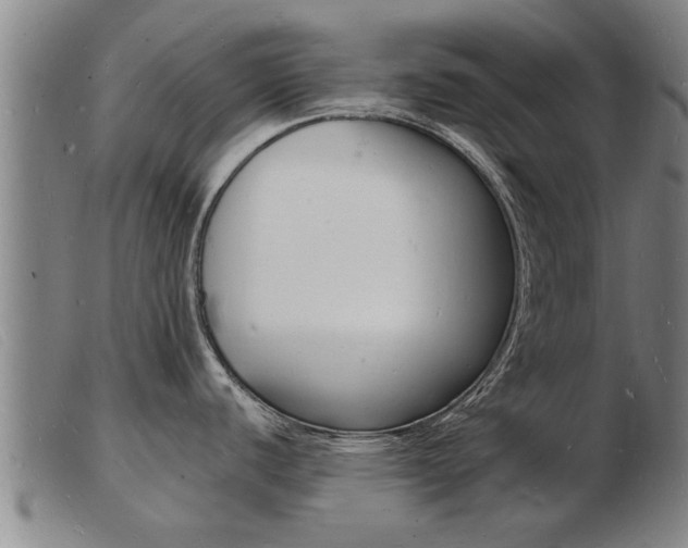 X0000103971440200809191348