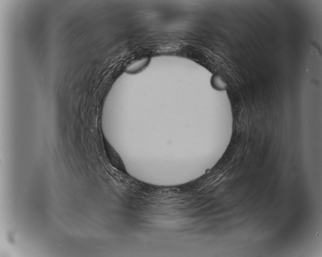 X0000103971441200809191347