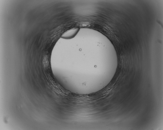 X0000103971442200809191347