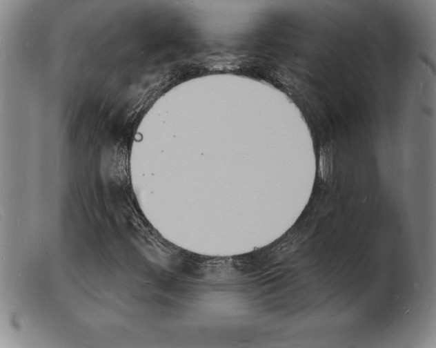 X0000103971444200809191347