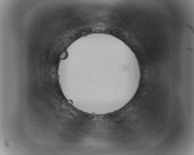 X0000103971445200809191347