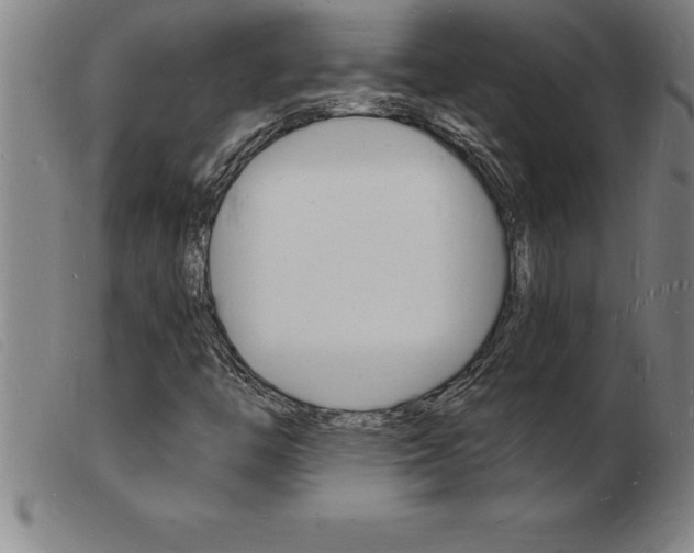 X0000103971446200809191347