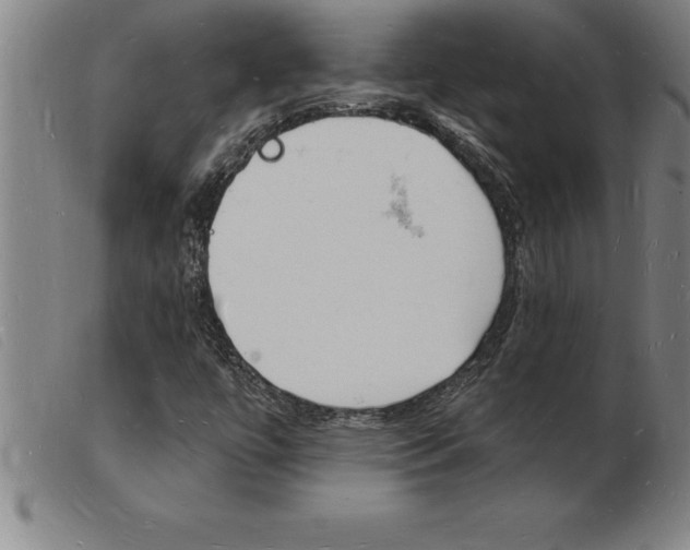 X0000103971447200809191347