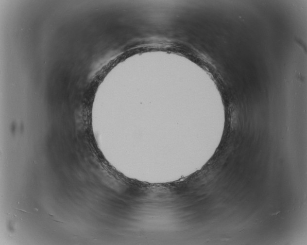 X0000103971448200809191347