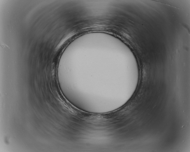 X0000103971450200809191347