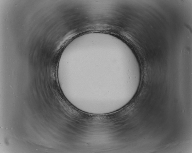 X0000103971451200809191347