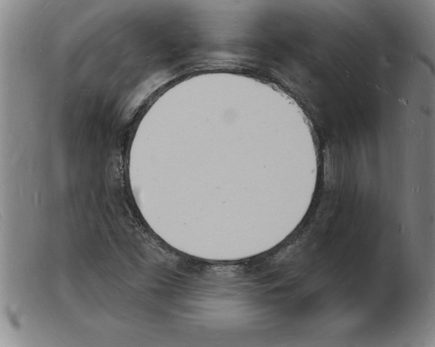 X0000103971453200809191347