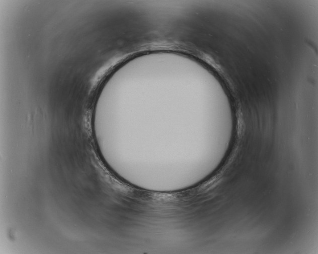 X0000103971454200809191347