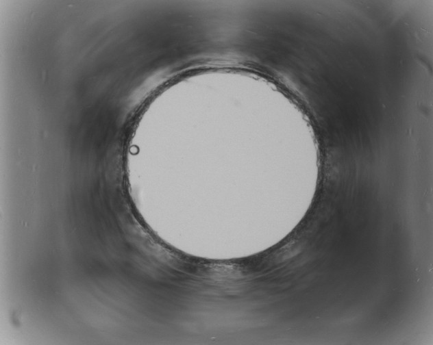 X0000103971456200809191347