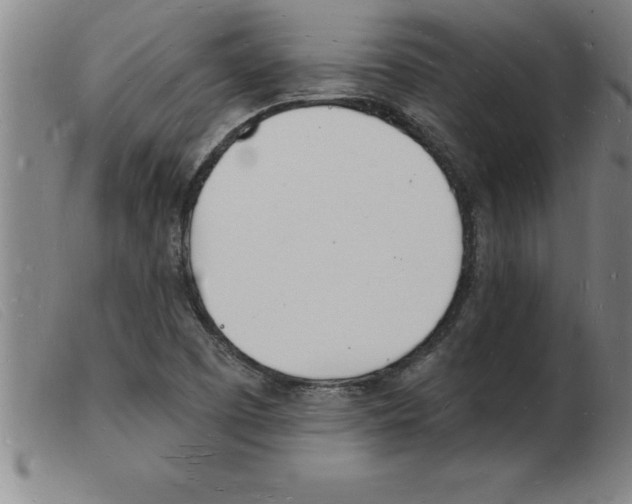 X0000103971457200809191347