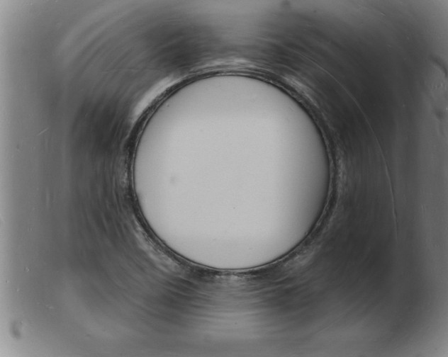 X0000103971458200809191347