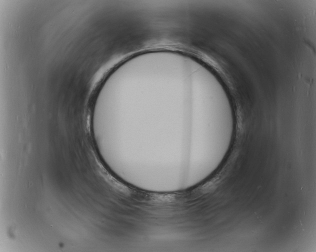 X0000103971462200809191347