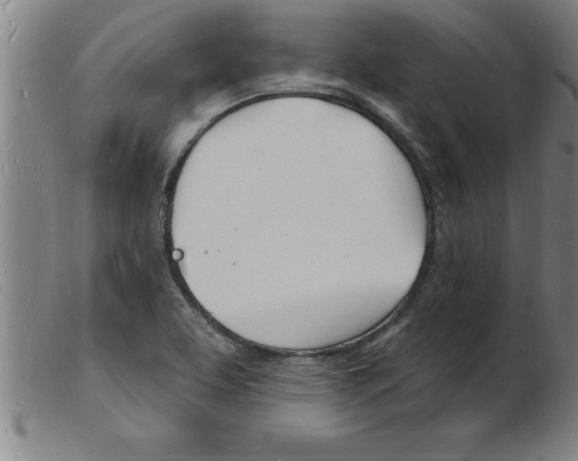 X0000103971463200809191347