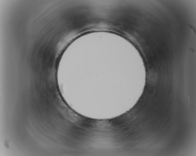 X0000103971464200809191347