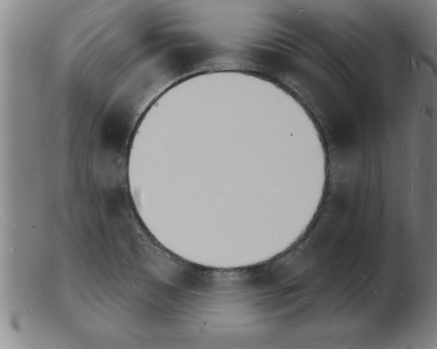 X0000103971465200809191347