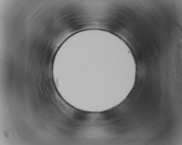 X0000103971468200809191347