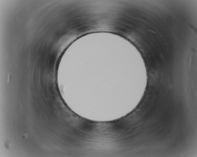 X0000103971469200809191347