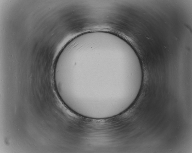 X0000103971470200809191347
