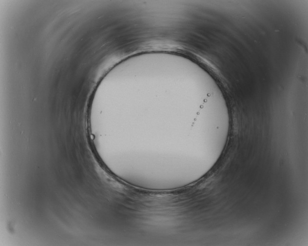 X0000103971471200809191346