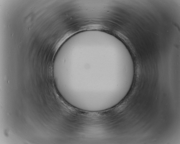 X0000103971473200809191346