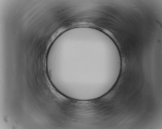 X0000103971474200809191346