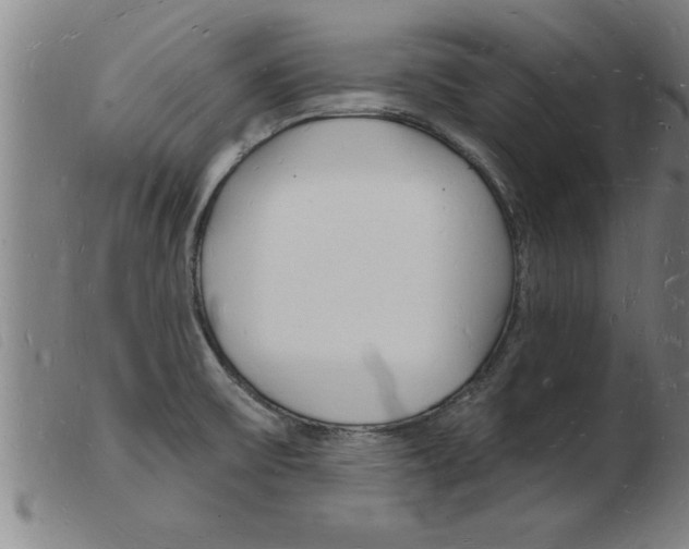 X0000103971475200809191346