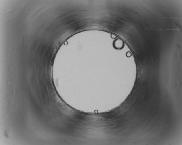 X0000103971476200809191346