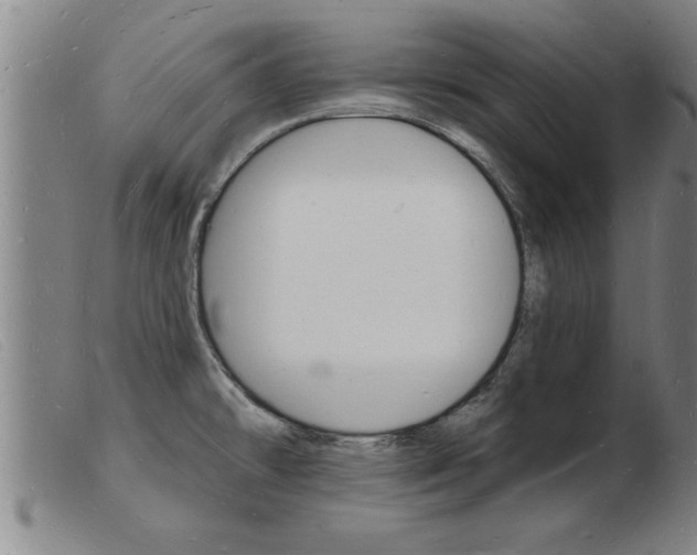X0000103971478200809191346