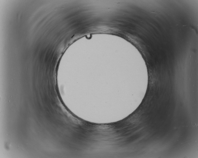 X0000103971479200809191346