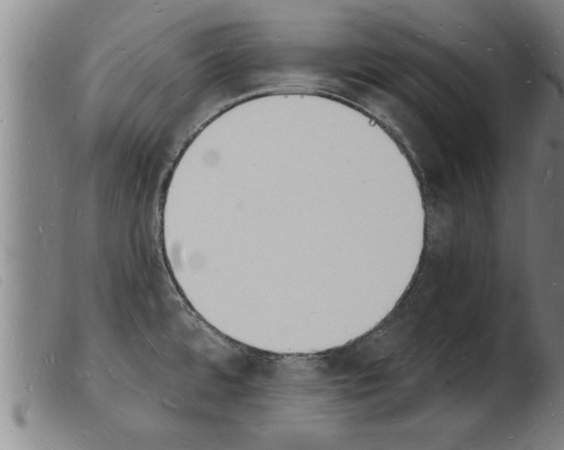 X0000103971480200809191346