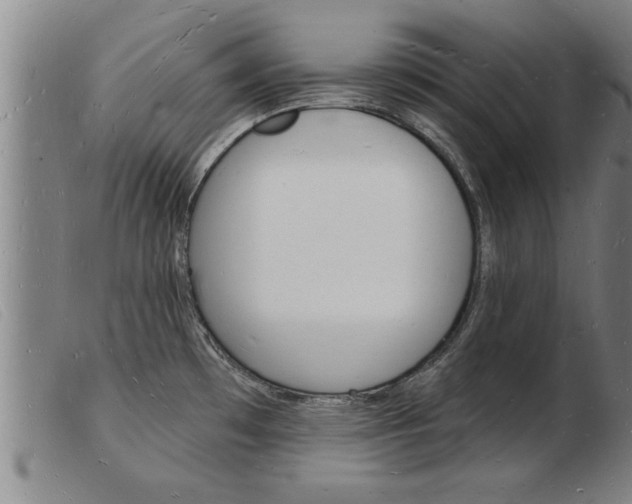 X0000103971481200809191346