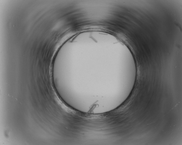 X0000103971482200809191346