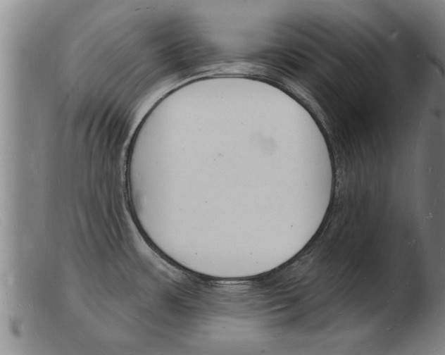 X0000103971483200809191346