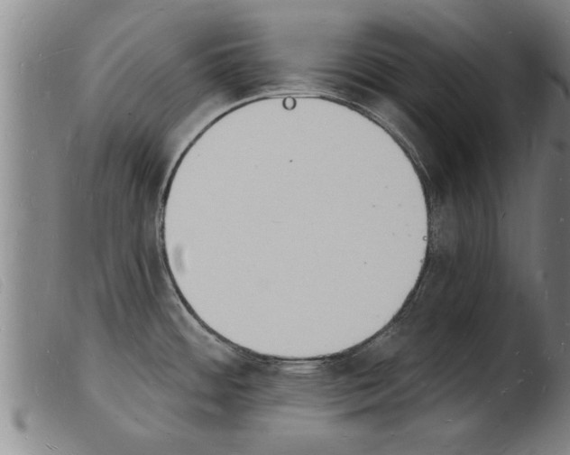 X0000103971484200809191346