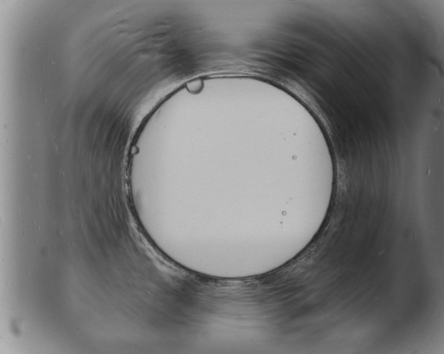 X0000103971485200809191346