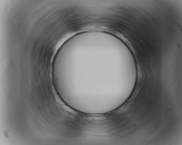 X0000103971486200809191346