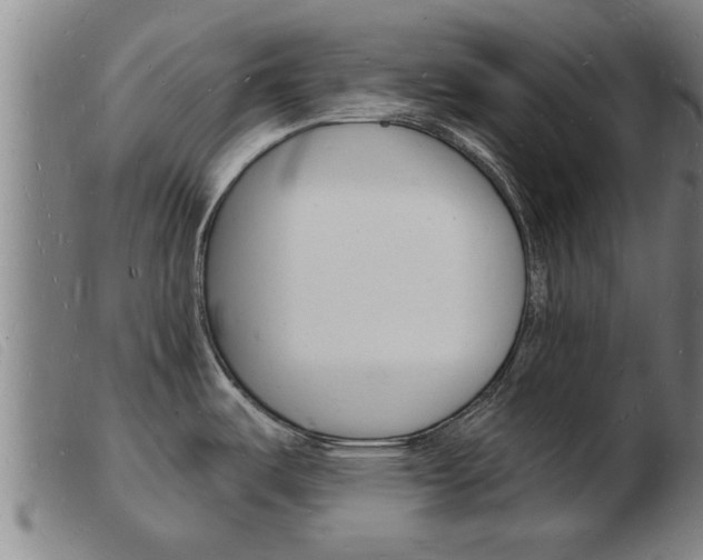 X0000103971487200809191346