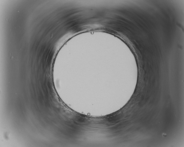 X0000103971488200809191346