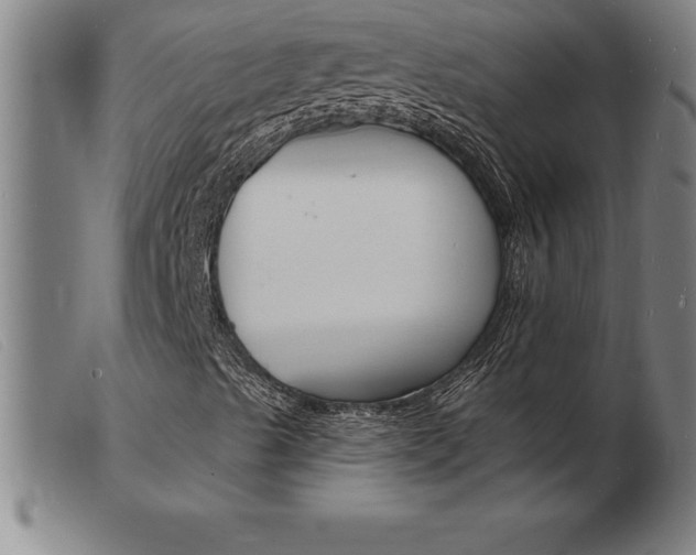 X0000103971489200809191345