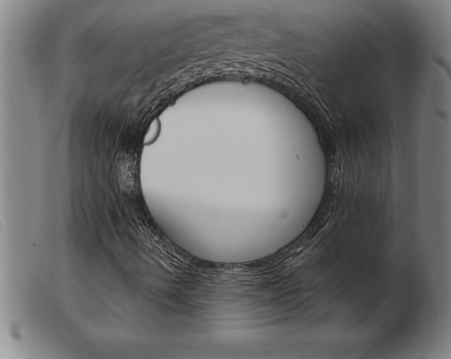 X0000103971490200809191345