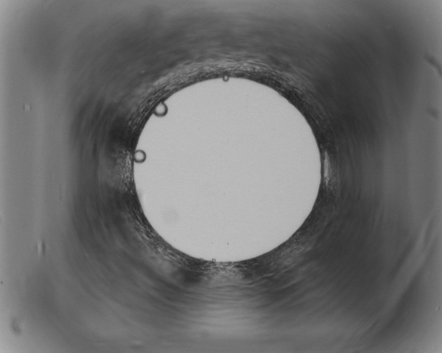 X0000103971492200809191345